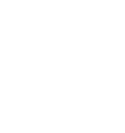 Play Movie